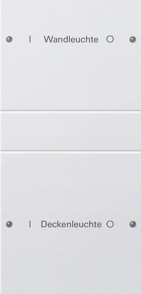 Actual product image Gira Rocker set 2f (1+1) inscribed System 55 220203