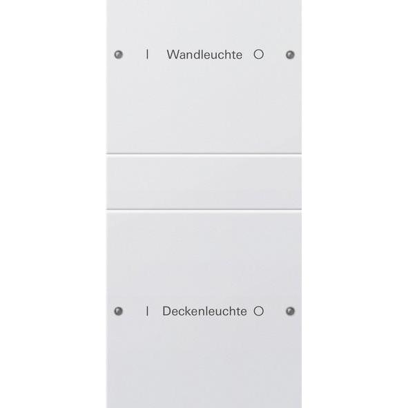 Gira, Programma di commutazione degli accessori, Set di bilancieri 2f (1+1) con scritta System 55 220203