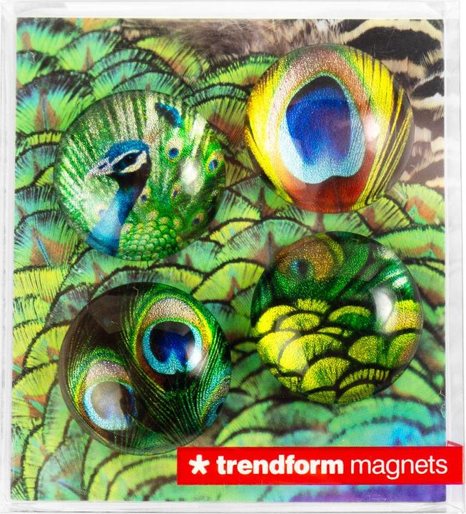 Produktbild Trendform Eye (4x)