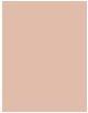 Actual product image Sisley Phyto Complexion Nude No 1C (1C)