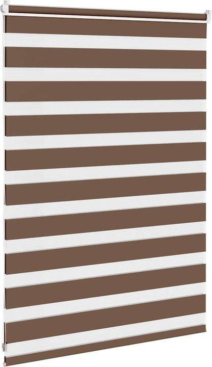 Produktbild vidaXL Zebra-Jalousie (95 x 100 cm)