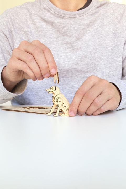 Immagine prodotto Kikkerland Cane