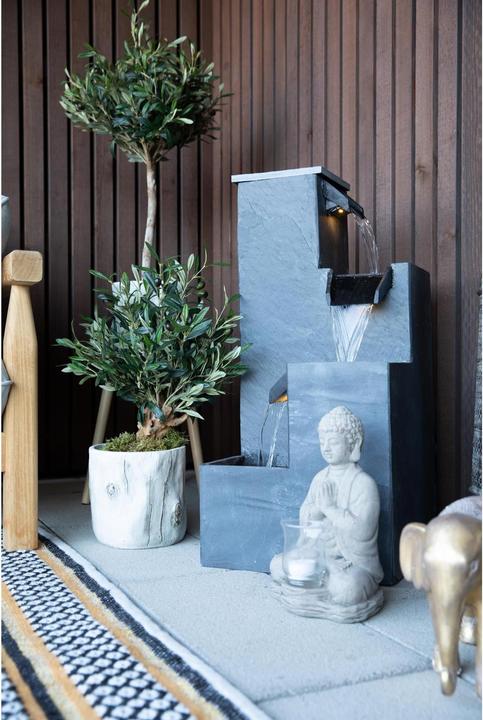 Actual product image Botanic-Haus Olive tree (56 cm)