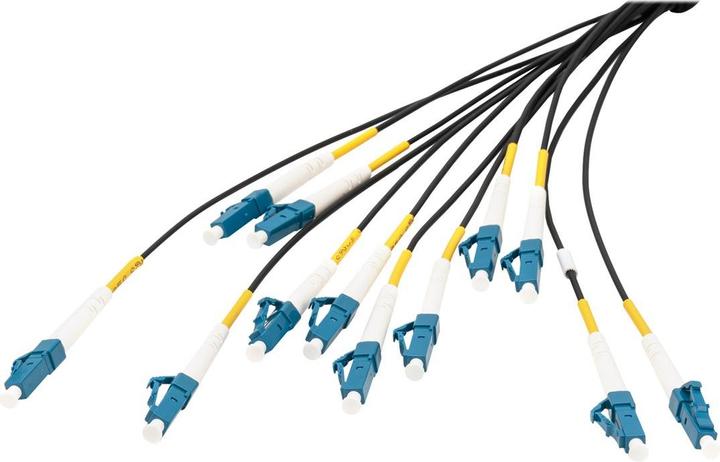 Produktbild Digitus Vorkonfektionierte Glasfaser Universal Breakout Kabel, Multimode OS2, 12 Fasern, LC/UPC - LC/UPC (75 m)
