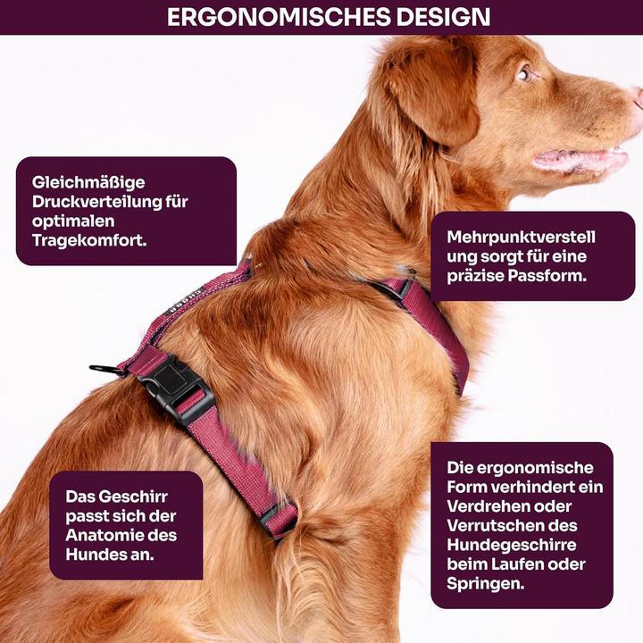 Actual product image Chaba SZELKI GUARD "L" BORDOWE 35-60 / 50-75 /2,5cm (L, Dog, Walks)