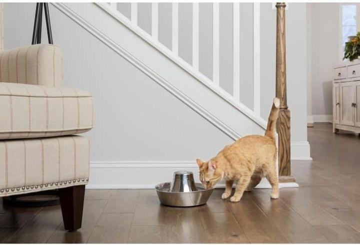 Image du produit PetSafe Seaside (170 cl)