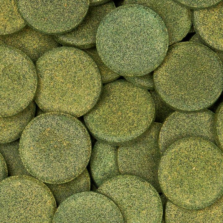 Produktbild Sera Wels-Tabs XXL 250ml (Wels, 250 ml)