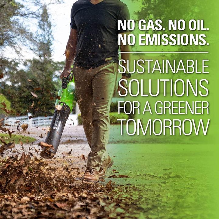 Productafbeelding Greenworks Soffiatore per Foglie Assiale (Oplaadbare batterij, Bladblazer)