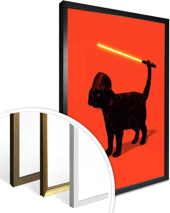Image du produit Trenddeko Cat Vader (50 x 60 cm)
