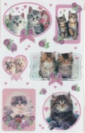 Actual product image BSB-Obpacher Sticker Deco Sticker Cat Photos Framed