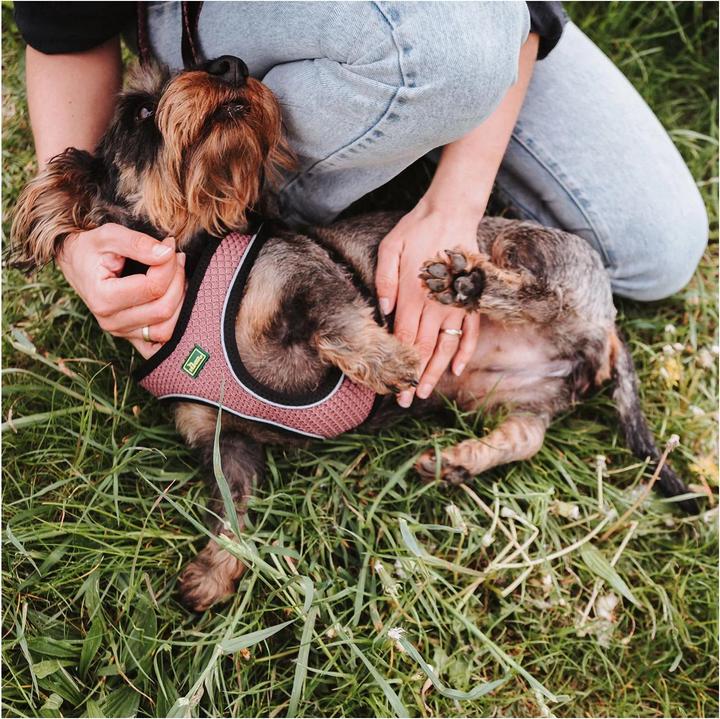 Actual product image Hunter Dog harness Hilo Comfort XXS-XS, pink - (401673969788) (XXS, Dog, Dog sport)