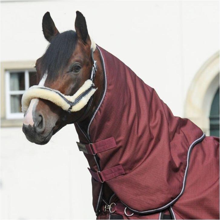 Kavalkade, Pferdedecke