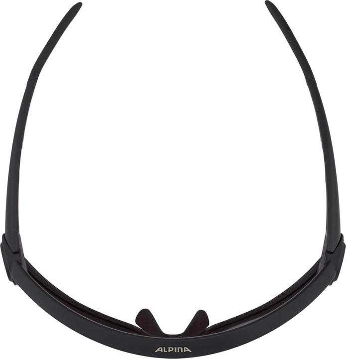 Produktbild Alpina 5W1NG QV (Schwarz matt, Blau)