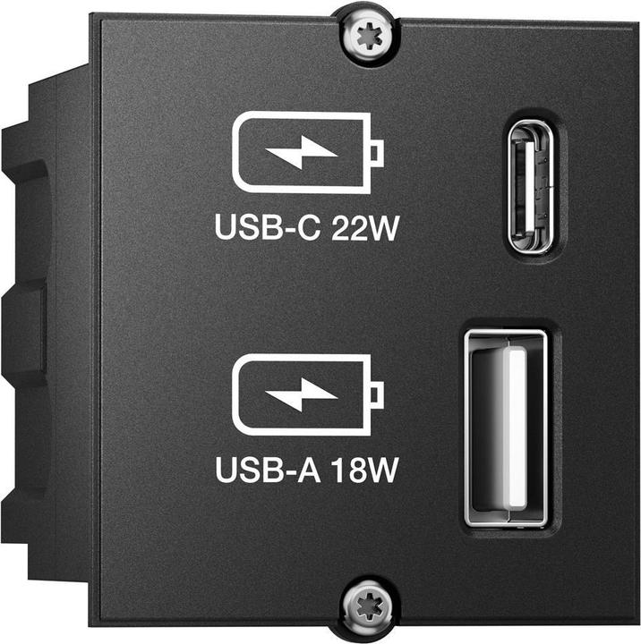 Bachmann Custom Modul Charger (22 W)