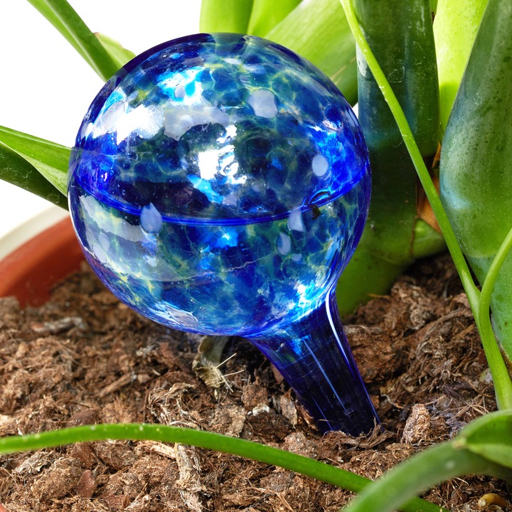 Actual product image Relaxdays Watering Globes Set of 2 (Irrigation balls)
