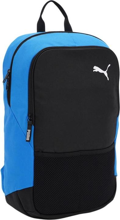 Actual product image Puma Team Goal Logo 24L Backpack (24 l)