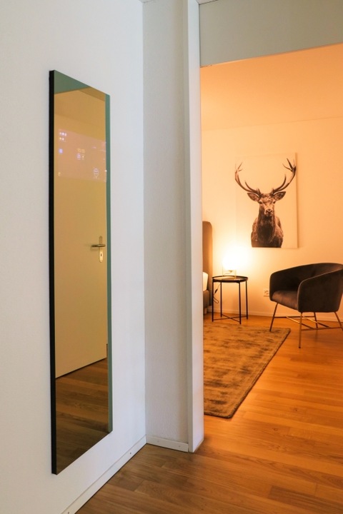 Actual product image EKZ Smart Mirror