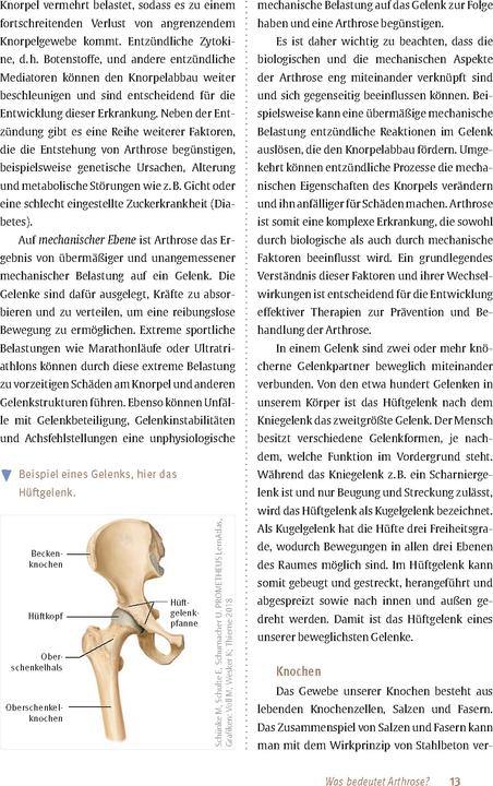 Image du produit Expertenwissen: Arthrose (Allemand, Prof. Dr Hanno Steckel, 2024)