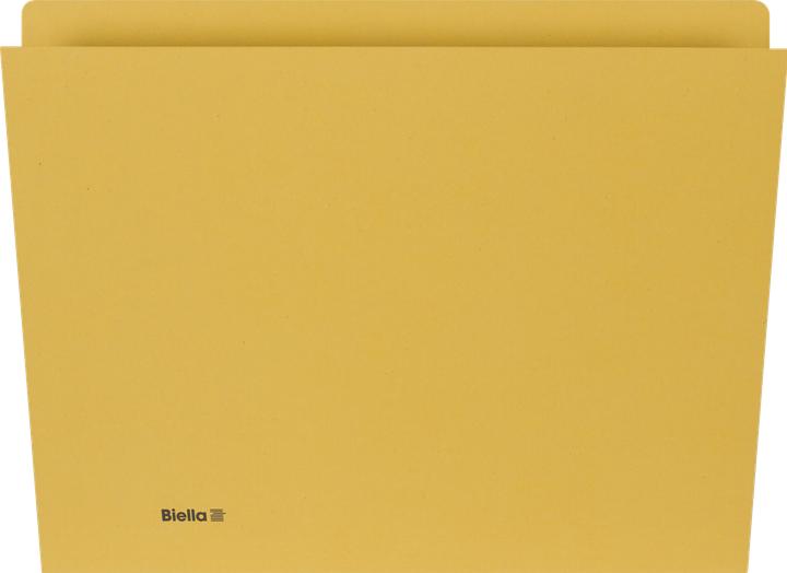 Actual product image Biella Vertical folder for A4 format (A4, 100x)