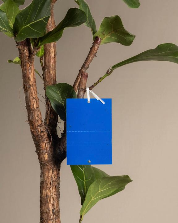 Produktbild feey Blautafeln