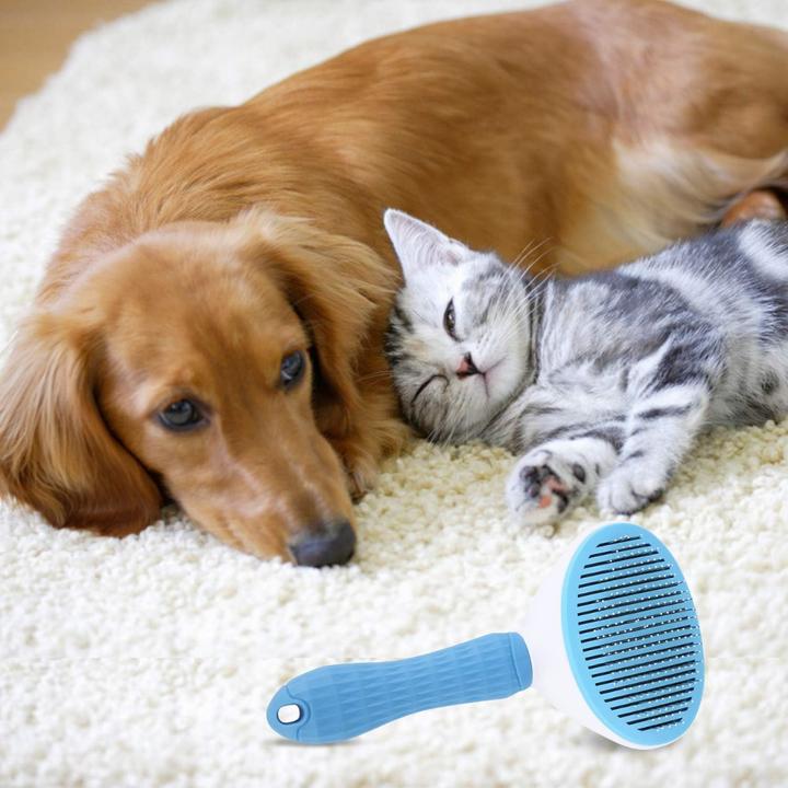 Image du produit Suba Brosse à poils d'animaux (Chat, Chien)
