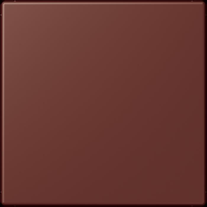 Actual product image JUNG Blind cover