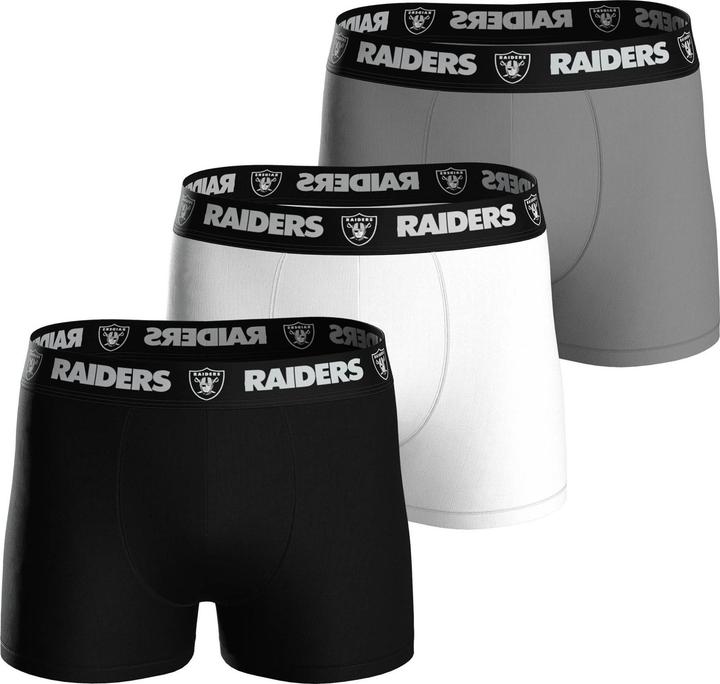 Las Vegas Raiders