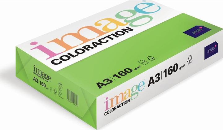 Actual product image Image Copy paper Java A3 (A3, 250 Sheets, 120 g/m²)