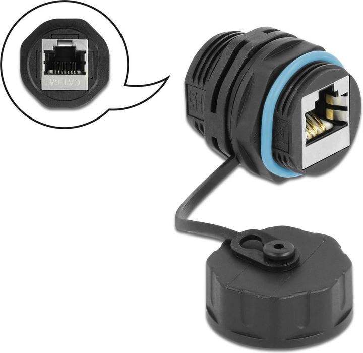 Actual product image Delock Coupling (Network coupling)