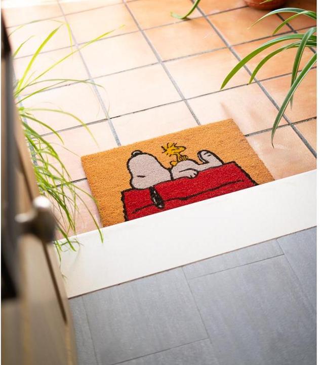 Image du produit Erik Snoopy - Dormir sur le toit (60 x 40 cm)