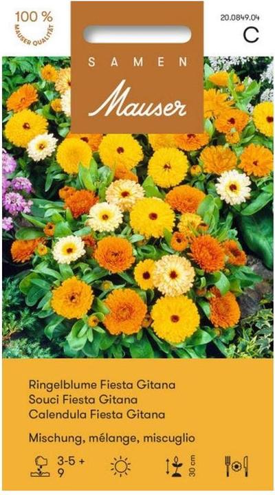 Samen Mauser Marigold Fiesta Gitana Mix. (Semi di piante)