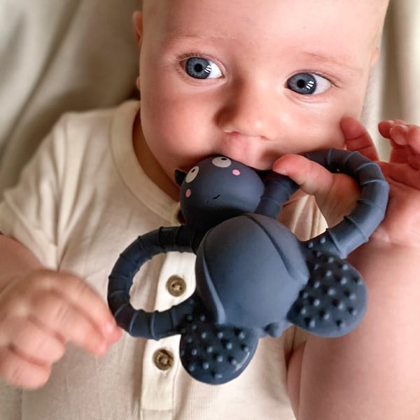 Actual product image Filibabba Teething ring - Felix the fly natural rubber - Muddly Blue