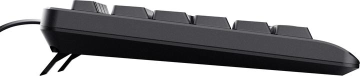 Actual product image Trust Keyboard Basics Us (US, Cable)