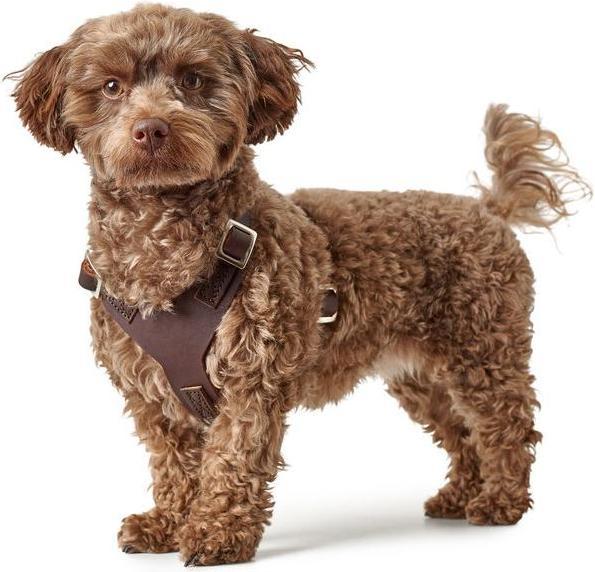 Produktbild Hunter Geschirr Aalborg (XS, Hund, Spazieren)