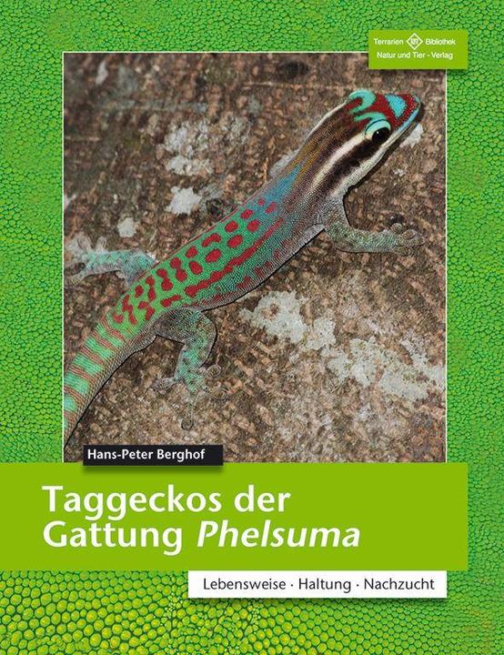 Produktbild Taggeckos der Gattung Phelsuma (Deutsch, Hans P Berghof, 2014)
