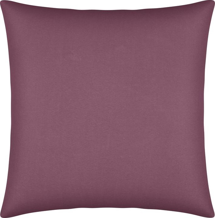 Aubergine