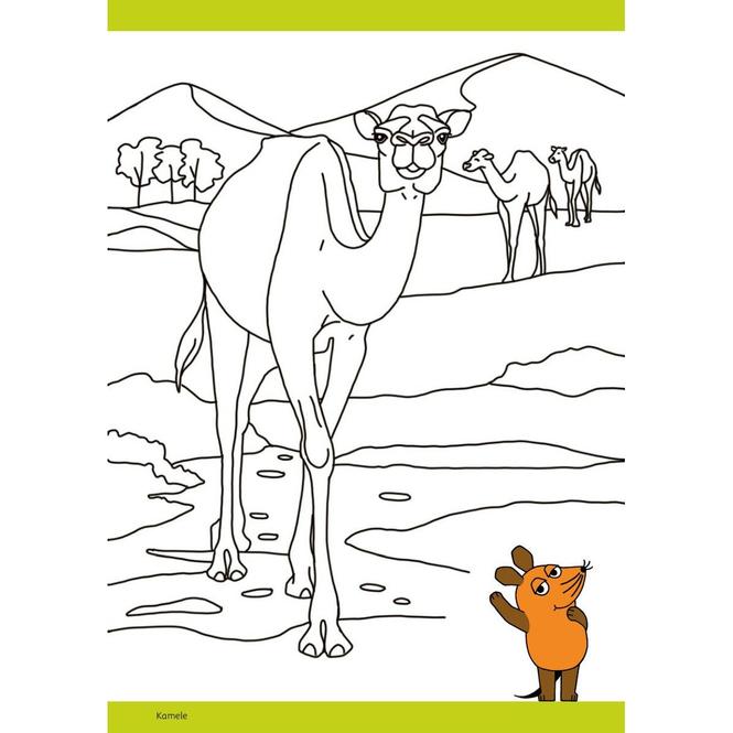 Immagine prodotto Die Maus - Malblock mit Sachwissen Natur und Tiere (Tedesco, pen2nature, 2024)