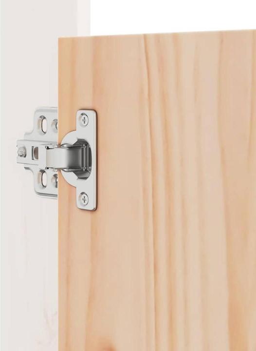 Immagine prodotto vidaXL Tür für Outdoor Küche