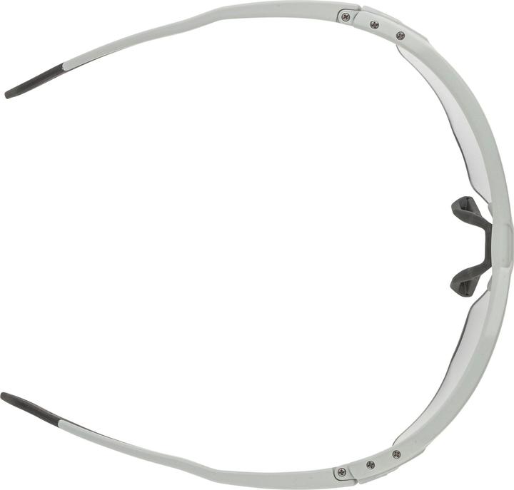 Produktbild Alpina Twist Six HR V (Smoke-grey matt, Black)