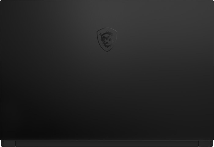 Produktbild MSI GS66 Stealth (15.60", Intel Core i9-10980HK, 32 GB, 2000 GB, CH)