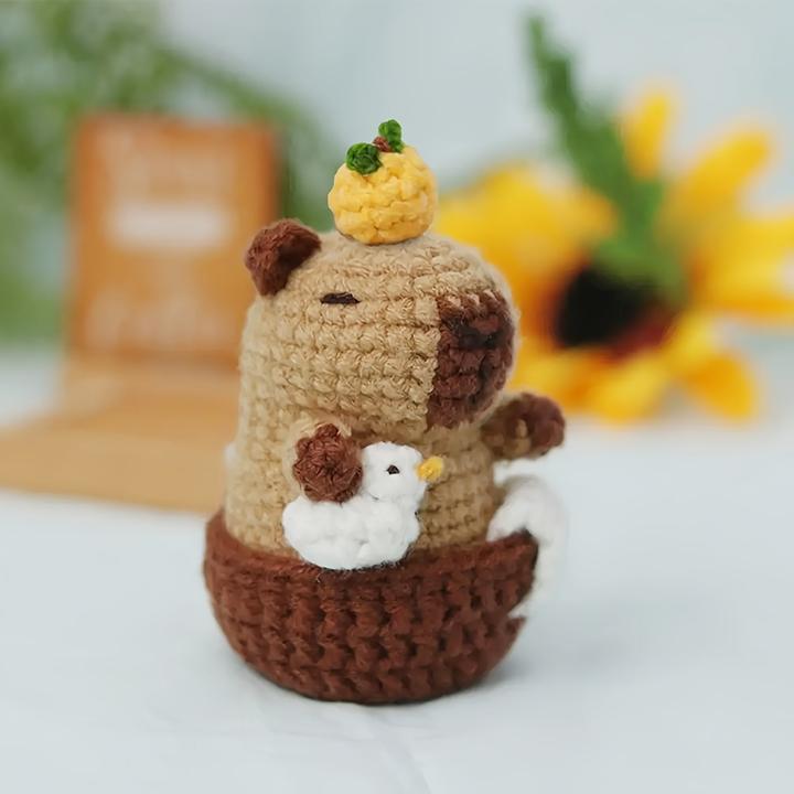 Actual product image Activity Board Capybara crochet set for beginners - complete DIY craft set