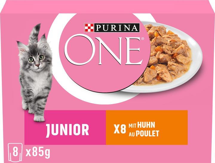 Purina ONE Junior (Junior, 8 Stk., 700 g)