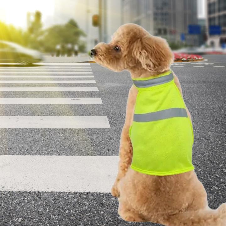 Actual product image Suba High-Visibility Safety Vest for Dogs – Size L (L, Dog vest)