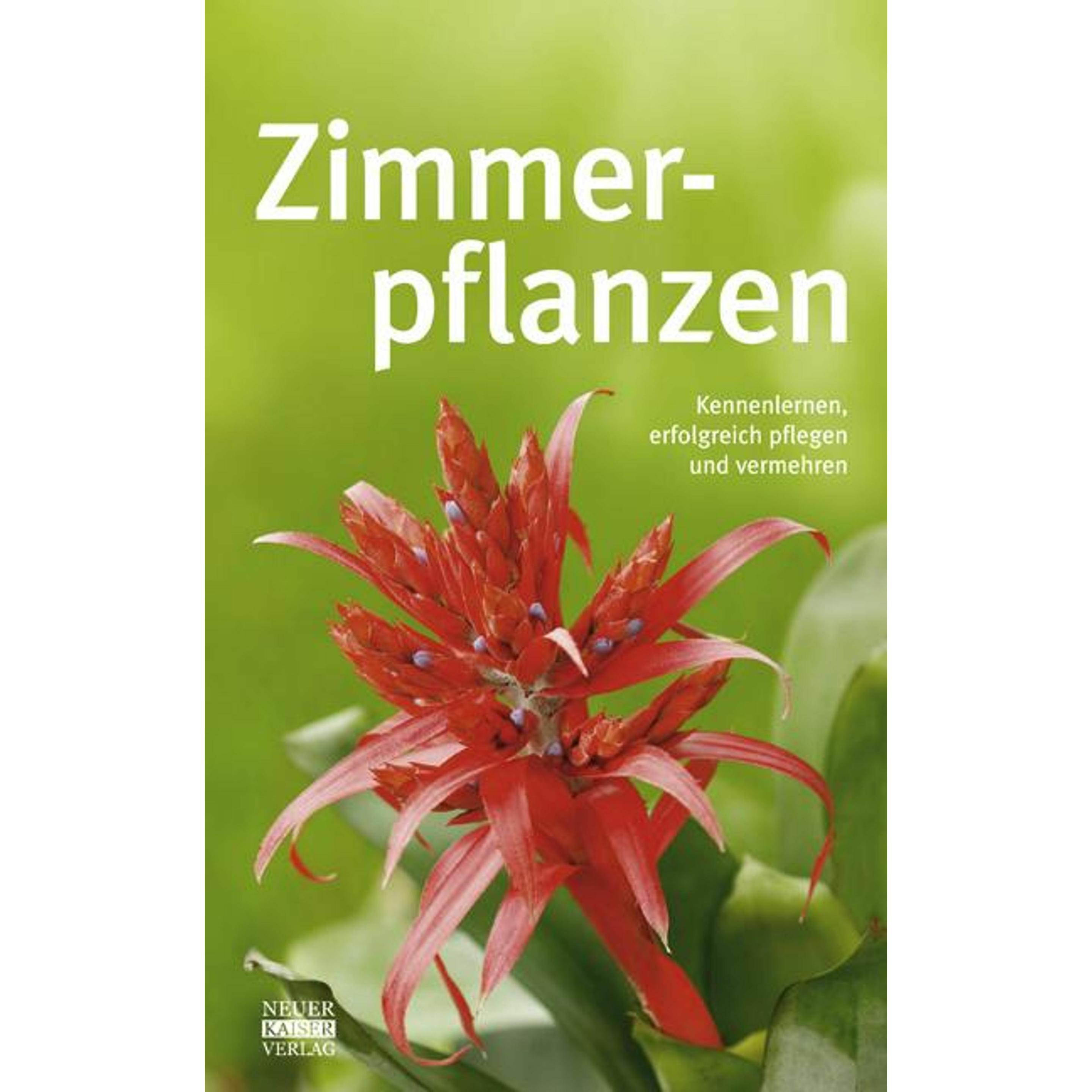 Thumbnail - Zimmerpflanzen, Ratgeber