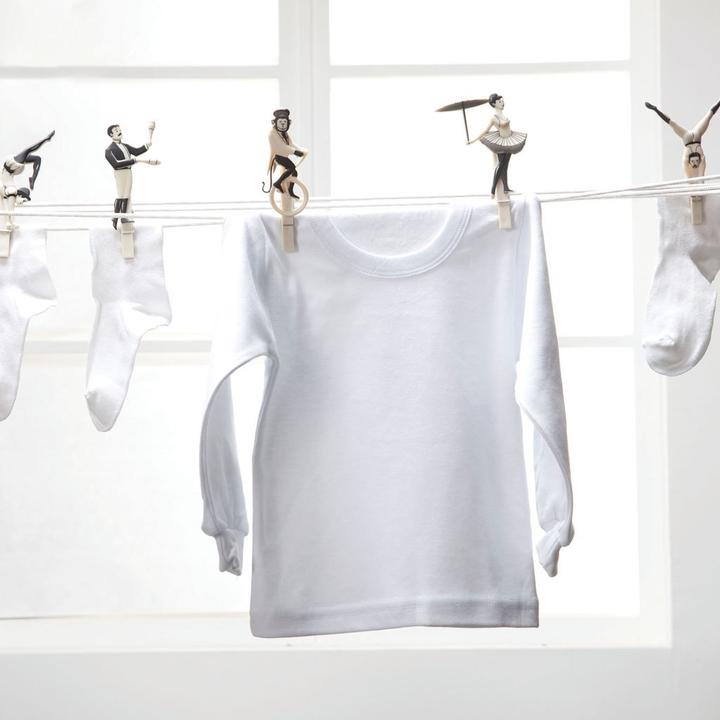 Produktbild Monkey Business Pegzini Family