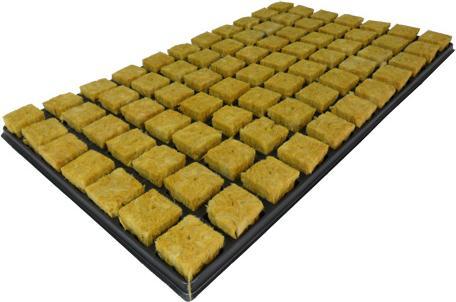 Cultilene Stecklings-Tray, 77Stk à 3.5 x 3.5cm