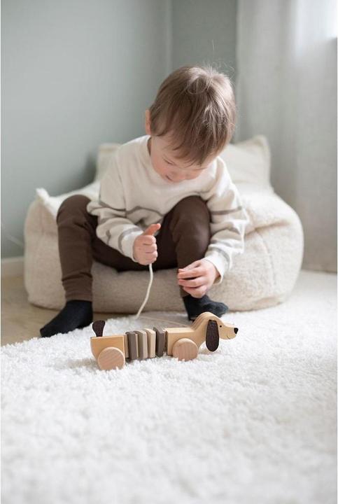 Actual product image Jabadabado Pull-along puppy