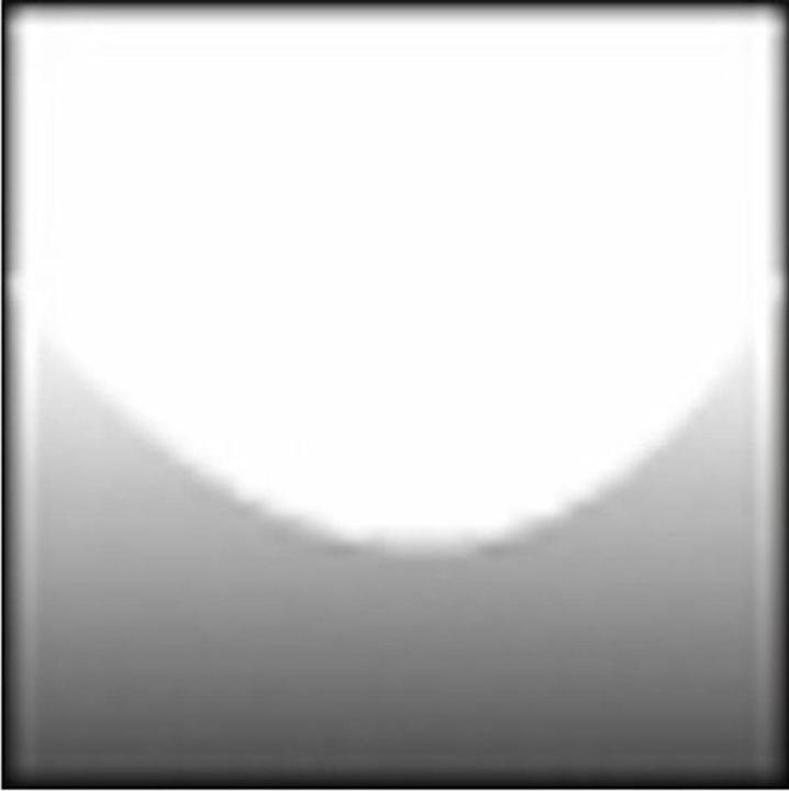 Schwarzer Hochzeitsfilter