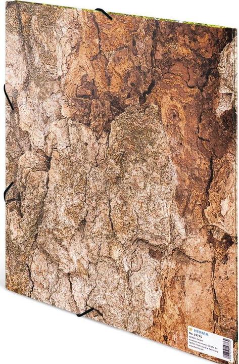 Immagine prodotto HERMA Cartella a motivi A4 (A4, 1x)