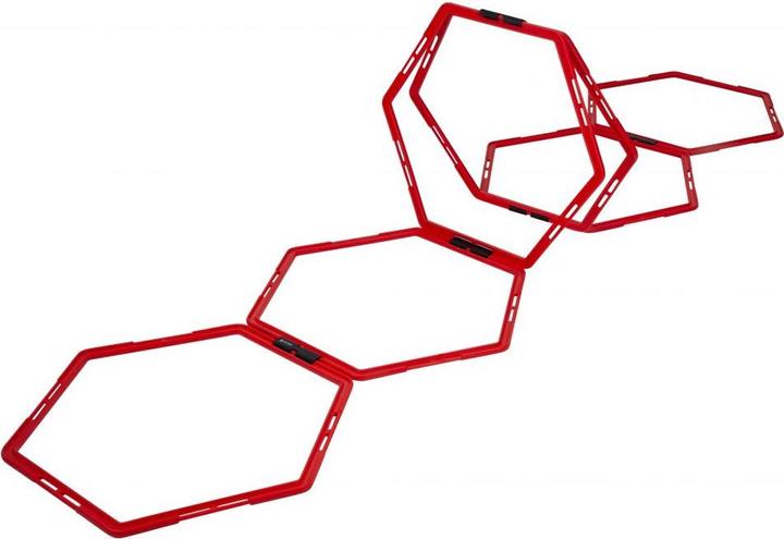 Actual product image Pure Hexagon training grid